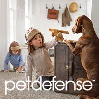 Pet Defense carpet exclusively at Abbey Carpet & Floor